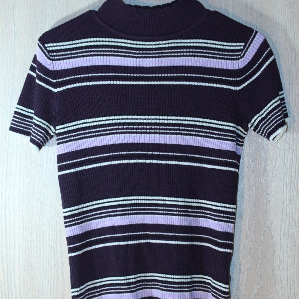 SAGHARBOR Purple Stripe Sweater / Turtleneck